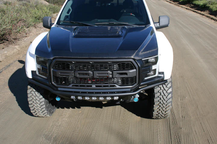 FIBERWERX FORD RAPTOR 17 To 20 OEM STYLE HOOD