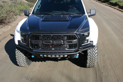 FIBERWERX FORD RAPTOR 17 To 20 OEM STYLE HOOD