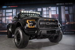 FIBERWERX FORD RAPTOR 17 To 20 DEBERTI FENDERS 6" BULGE