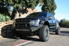 FIBERWERX FORD F150 TO RAPTOR 15 To 17 DEBERTI 6" FENDER